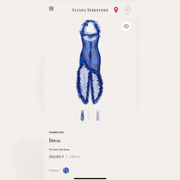 NWOT ULYANO SERGEENKO summer 2023 printed sink dress in blue with print sz fr36 - Picture 10 of 10